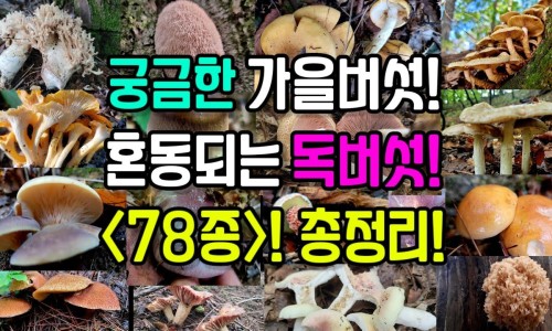 四十斤脂肪什么概念-40斤脂肪有多少克网 - 网站提供40克脂肪大概多少肥肉小常识、40斤脂肪是多少卡路里